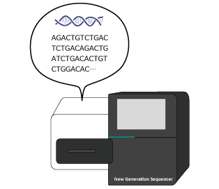 染色体を増幅（PCR法）
