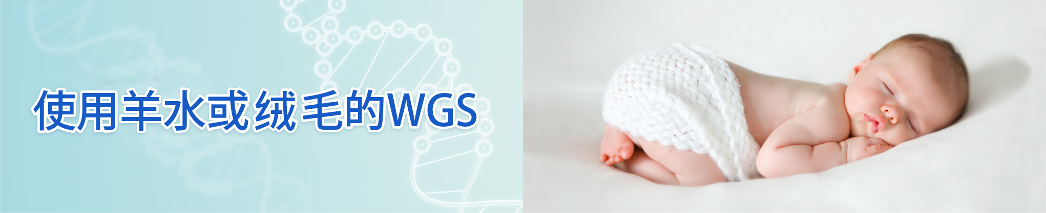 使用羊水或绒毛的WGS