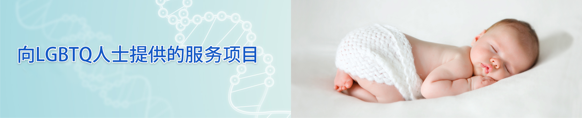 向LGBTQ人士提供的服务项目