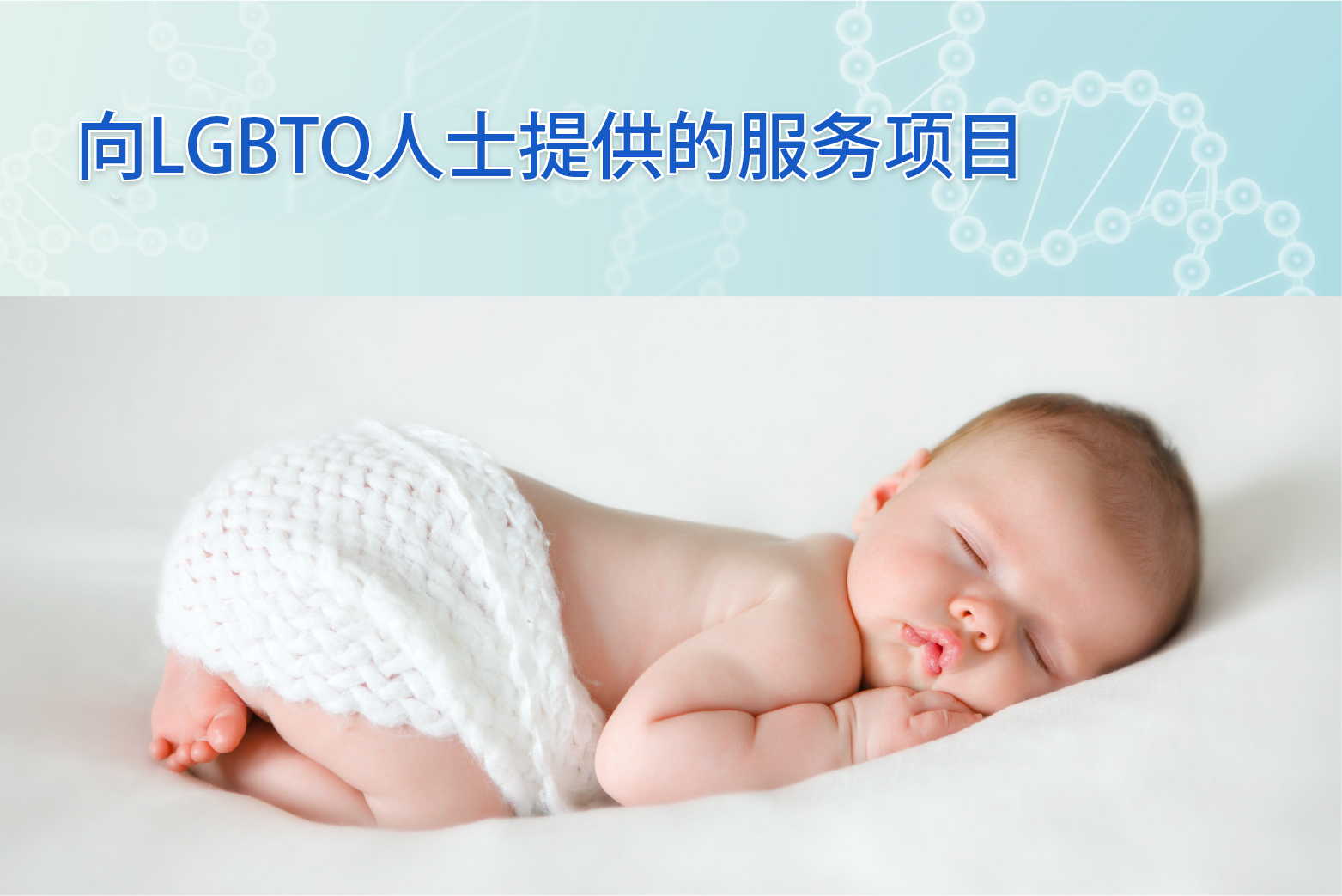 向LGBTQ人士提供的服务项目